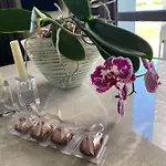 Apartamentai Sventojoje