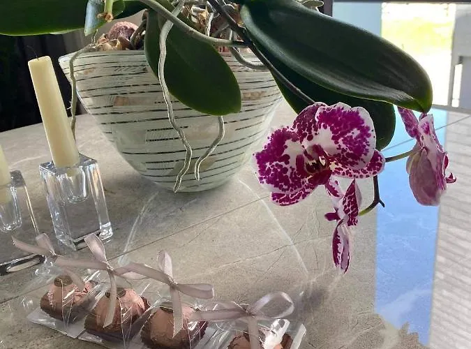 Apartamentai Sventojoje